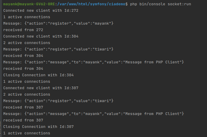 websocket php client demo console output
