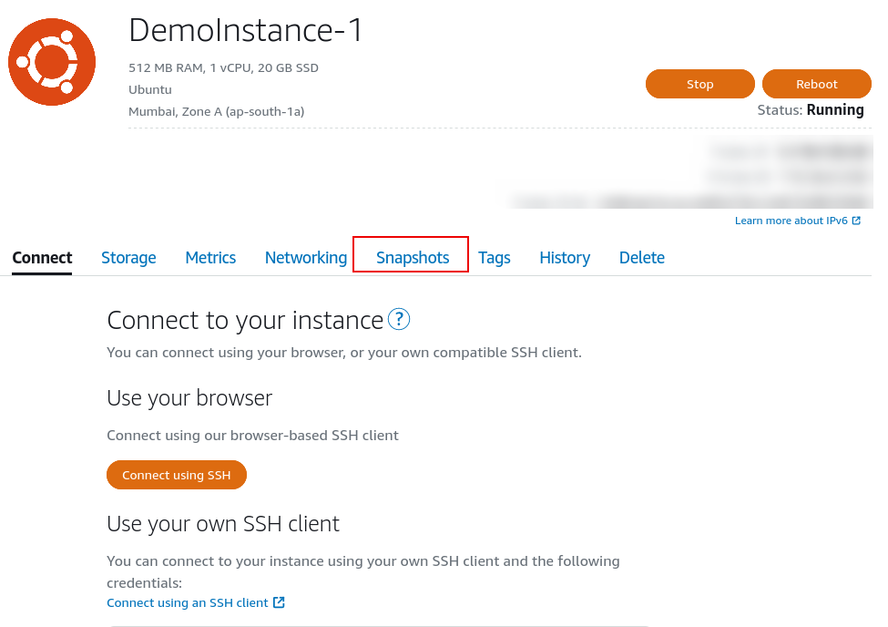 Instance details